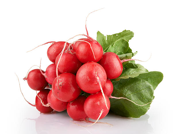istock Small garden radish isolated on white background 495685551