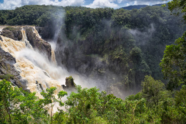 водопад вид на водопад по баррон - tropical rainforest waterfall rainforest australia стоковые фото и изображения