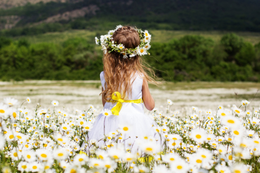 Young girl with a crown of flowers on her head facing backwards in a field of chamomile flowers.  The young girl wears a white dress.