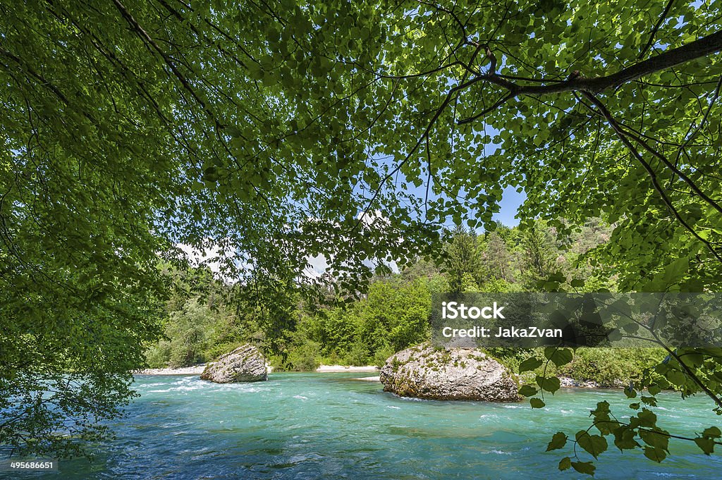 Turquoise river with boulders Turquoise river Sava with large boulders in the water. Branches with green leaves in the foreground. Blue Stock Photo