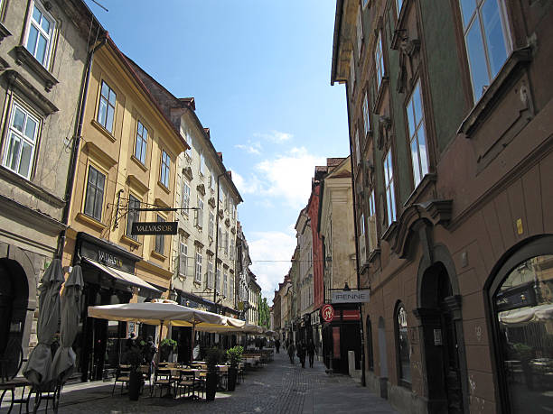 istock Landscape of Slovenia 495689147