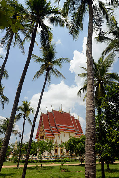 The temple Wat Pak Saeng at Lakhon Pheng on the Mekong River in the province of Amnat Charoen northwest of Ubon Ratchathani in northeastern Thailand in SouthDostasia.