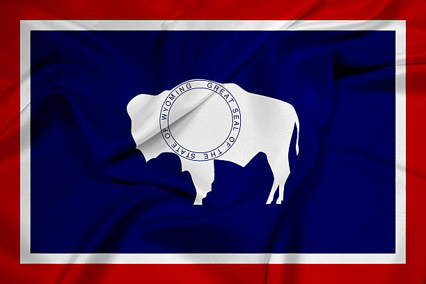 istock Waving Wyoming State Flag 495690099