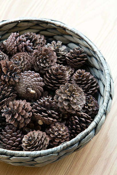 istock Cones ornament in woven bowl 495690386