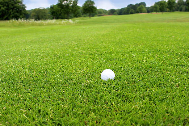istock Image of golf ball on driving range at golf course 495690579