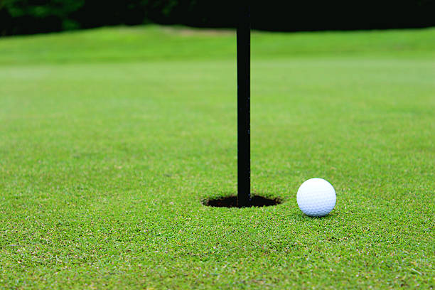 istock Golf ball by hole and flag, putting green, golf course 495690921