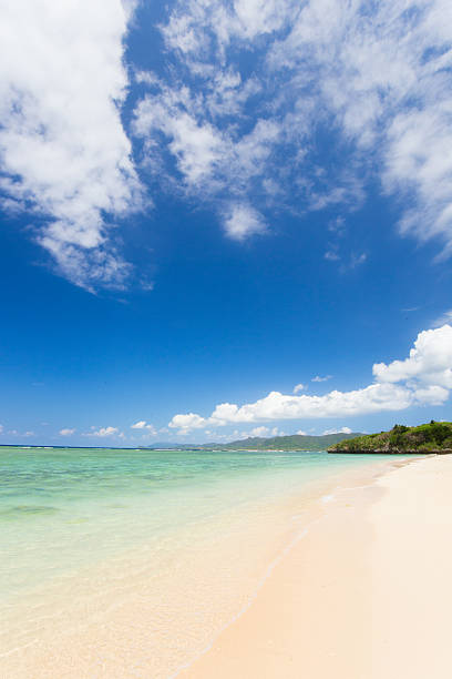istock Beach (Ishigaki Yonehara Coast in Japan 495691198