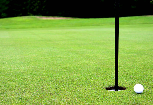 istock Golf ball by hole and flag, putting green, golf course 495691437