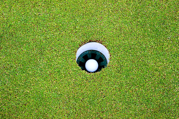 istock Golf ball in hole and flag, putting green, golf course 495691463