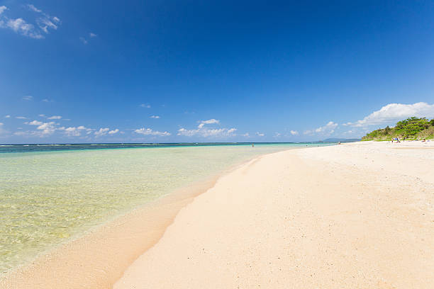 istock Beach (Ishigaki Yonehara Coast in Japan 495691478