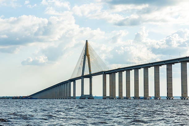 istock Rio Negro brigde in Manaus, Brazil 495691648