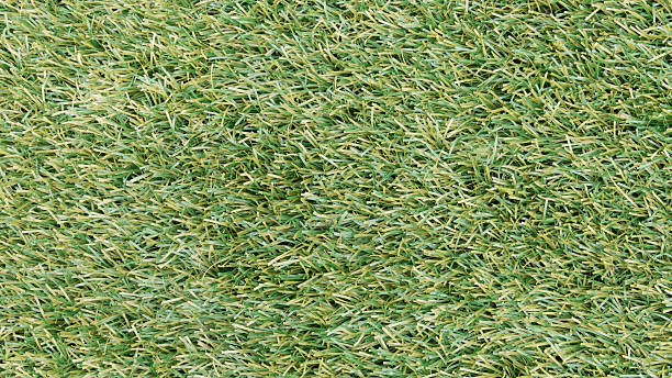 istock Artificail grass soccer field 495691685