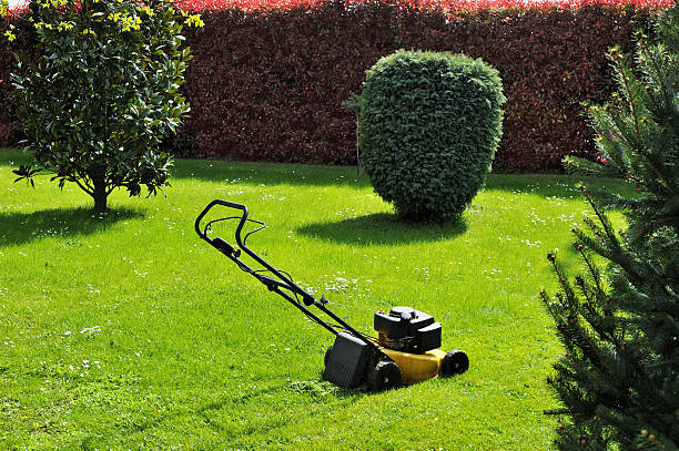 istock Lawn mower in the garden 495691721