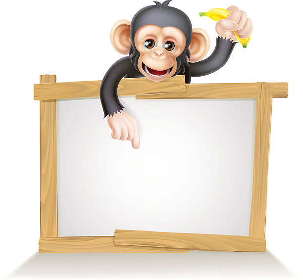 Chimpansee Illustrations, Royalty-Free Vector Graphics & Clip Art - iStock Chimpansee Illustrations, Royalty-Free Vector Graphics & Clip Art - iStock