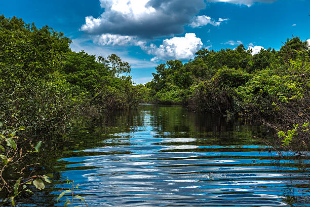 Canal over the Rio Negro river in Amazon, Brazil