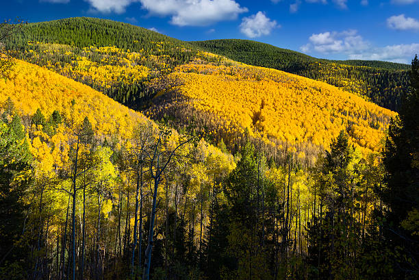 Aspen Vista Overlook Beautiful fall colors in the mountains of the Santa Fe Ski Basin santa fe new mexico mountains stock pictures, royalty-free photos & images