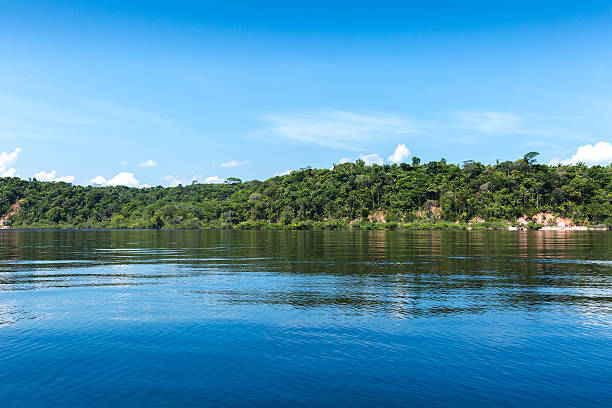 istock Rio Negro coast in Amazon, Brazil 495693974