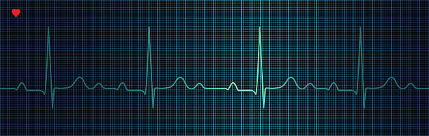 ilustraciones, imágenes clip art, dibujos animados e iconos de stock de en el electrocardiograma - pulse trace taking pulse computer monitor healthcare and medicine
