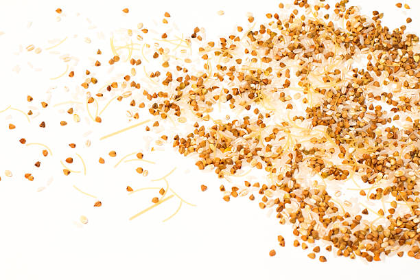 istock Various grain cereals, rice, buckwheat different colors 495695380