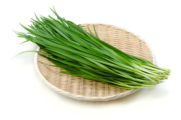 Garlic Chives Garlic Chives, on white background. chive photos stock pictures, royalty-free photos & images