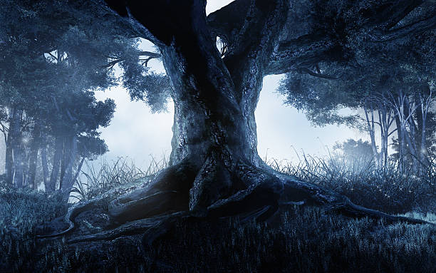 istock Tree in the middle of a forest 495697622