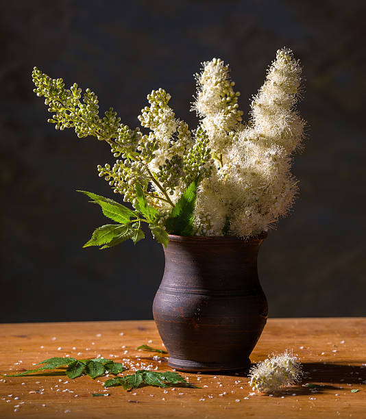 istock Still life with beautiful white flowers 495698515