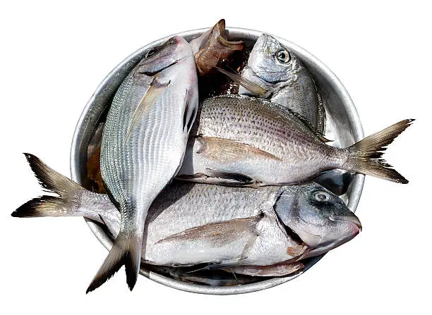 Photo of fish in metal plate