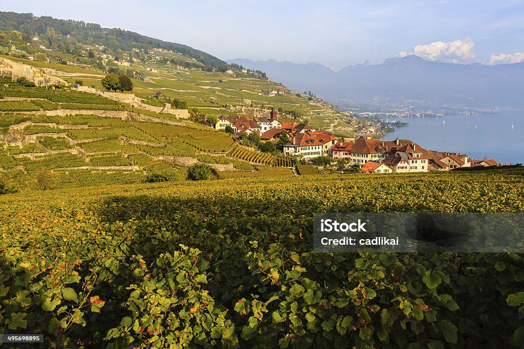 sunset at Lavaux Lavaux Vineyard at sunset Chateau De Chillon Stock Photo