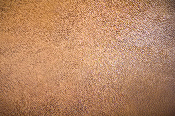 Brown leather stock photo