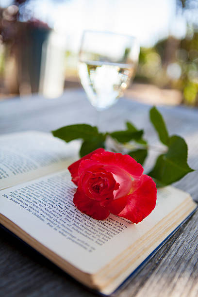 Reading and Roses stock photo