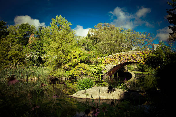 istock Central Park in New York City 495704698