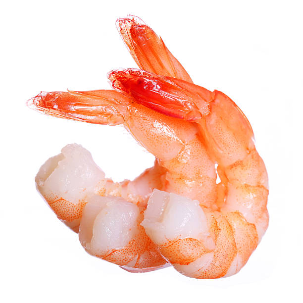 Shrimps isolated. Seafood Shrimps isolated on white background. Seafood black tiger shrimp stock pictures, royalty-free photos & images