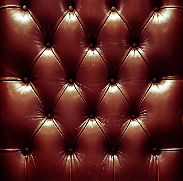 leather upholstery sofa stock photo