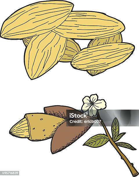 Mandelgrafik Stock Vektor Art und mehr Bilder von Ast - Pflanzenbestandteil - Ast - Pflanzenbestandteil, Blatt - Pflanzenbestandteile, Blume