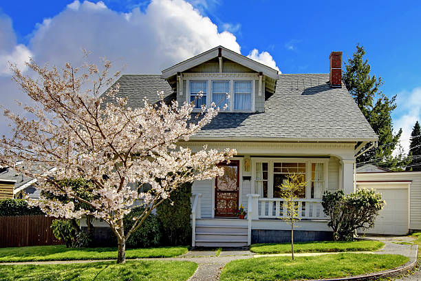 istock Little old cute house with a blooming cherry tree. 495717567