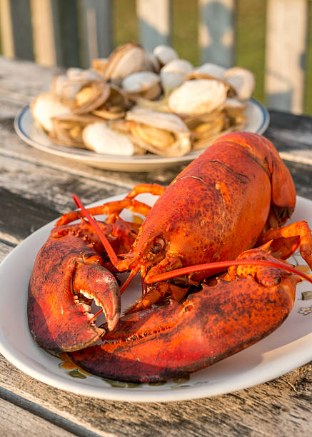 Lobster dinner at beach cottage of PEI, Canada. In warm orange sun light, on rustic weather beaten outdoor table.