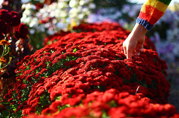 istock Colourful Arms and Flowers 495726122