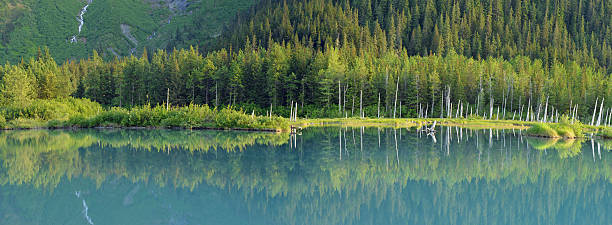 Quiet pond, Alaska Late summer evening by the small, quiet pond in Portage Valley, Kenai Peninsula, Alaska. Green color of water is due to suspended minerals brought by eroding glaciers.  portage valley stock pictures, royalty-free photos & images