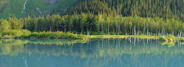 spokojnej pond, alaska - portage zdjęcia i obrazy z banku zdjęć