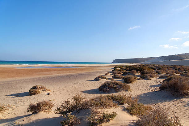 istock Fuerteventura Beach Scene in the Summer 495728432