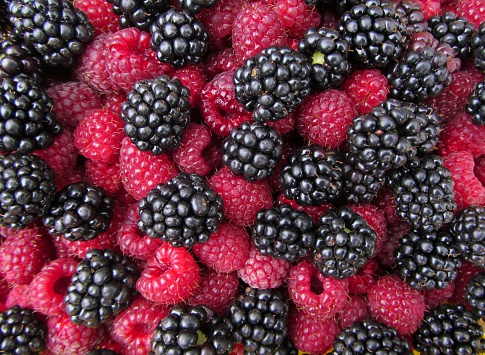 Raspberry and blackberry fruits straight from the bushes.