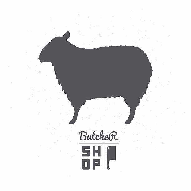 ilustrações de stock, clip art, desenhos animados e ícones de silhueta de ovinos. carne de carneiro. etiqueta de loja de carniceiro modelo - lamb young animal sheep livestock