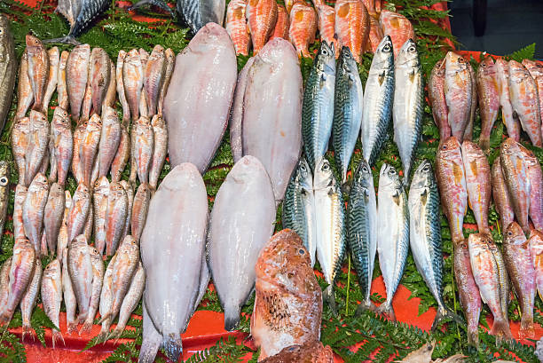 istock Fish for sale in Istanbul 495729602