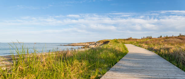 istock Panorama of Wood Path at the Beach 495731563