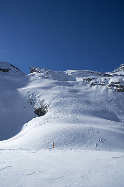 daubenhorn - gemmi fotografías e imágenes de stock