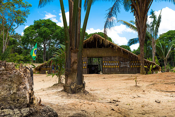 istock Native Brazilian Hut in the Amazon 495732288