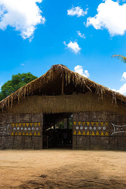 istock Native Brazilian Hut in the Amazon 495732360