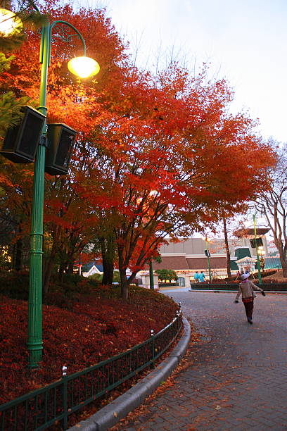 istock Autumn Street Scene in Korea 495733289