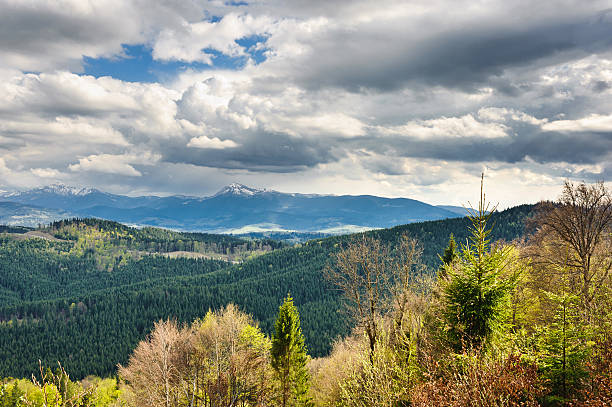 istock Beautiful view on mountains and meadows covered with forest 495733325