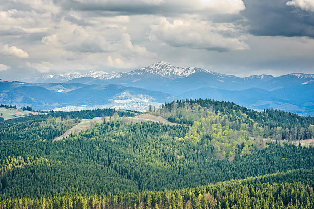 istock Beautiful view on mountains and meadows covered with forest 495733803